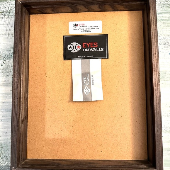 Eyes on Walls Black Toad Art Frame Blocked - Picture 3 of 4